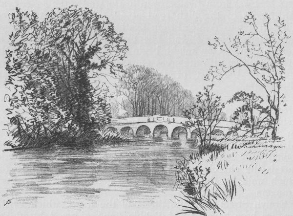 Bridge over the Mole, Cobham.