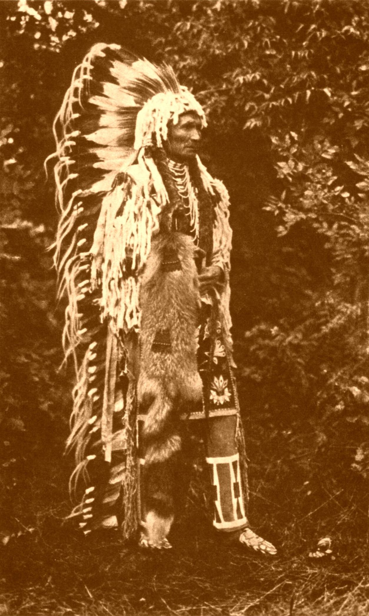 Chief Umapine