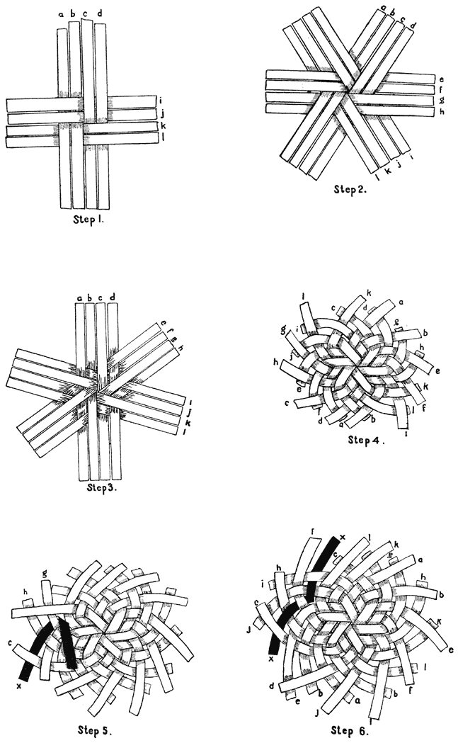 Plate XIX.