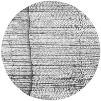 cross-section