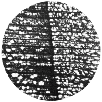 cross-section