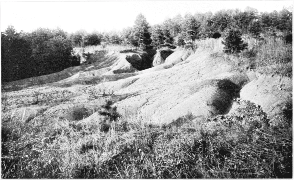 Hillside Erosion. North Carolina.