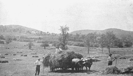 RURAL SCENE IN MICHIGAN.