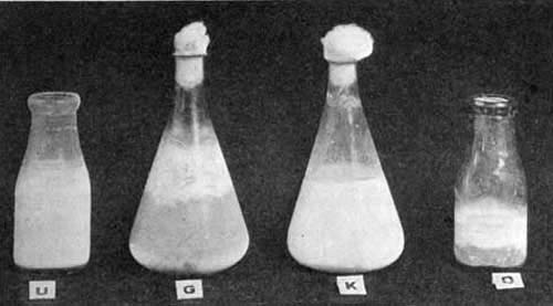 Effect of different fermentations.