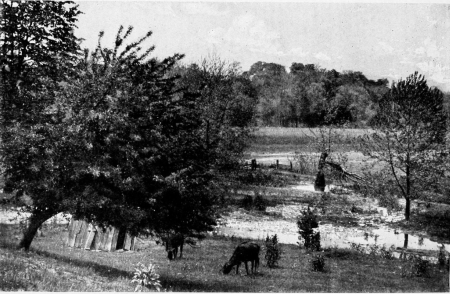 Overlooking the island which the Howells family
cultivated